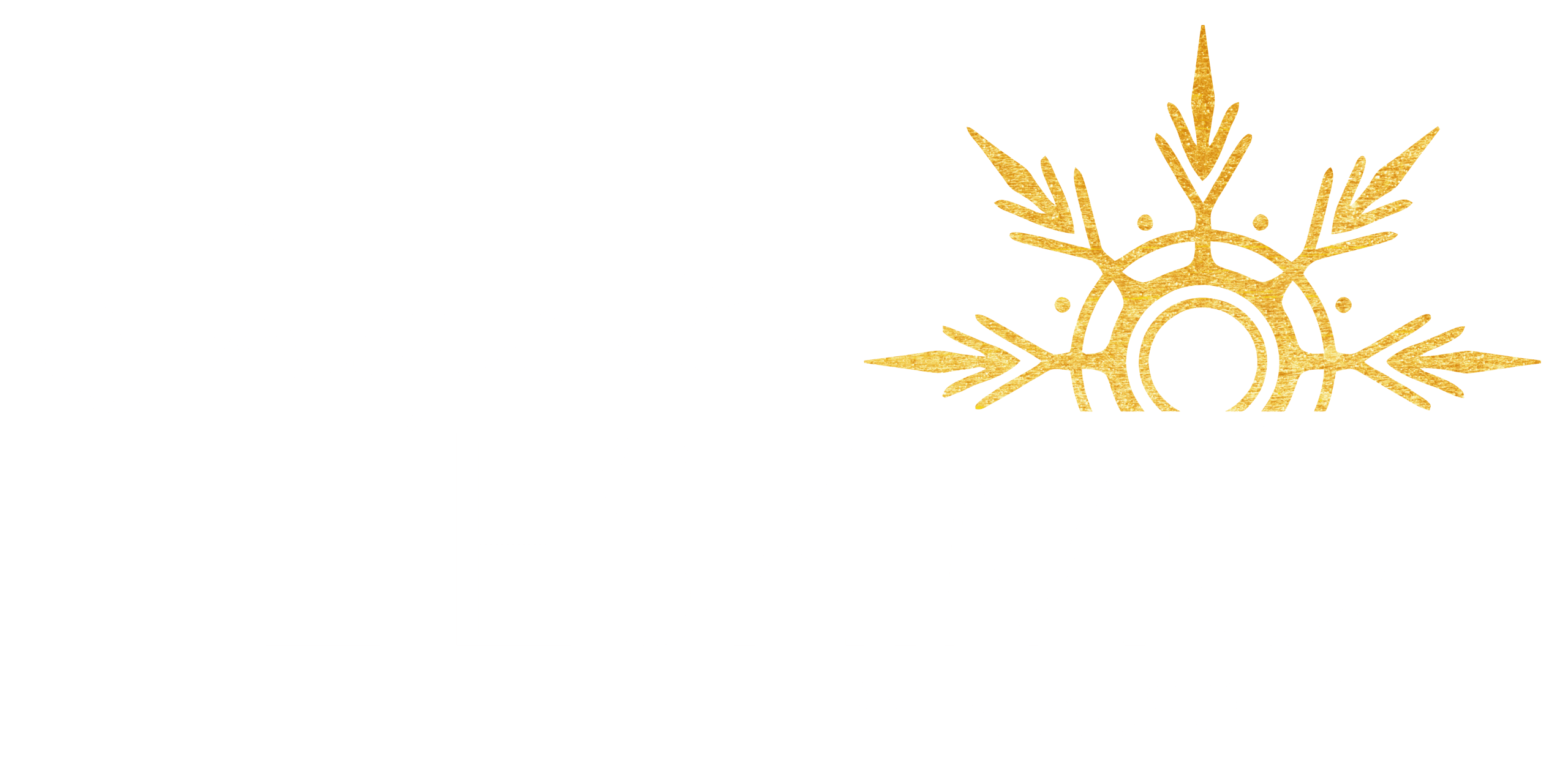 LOGO BLANC SNACK