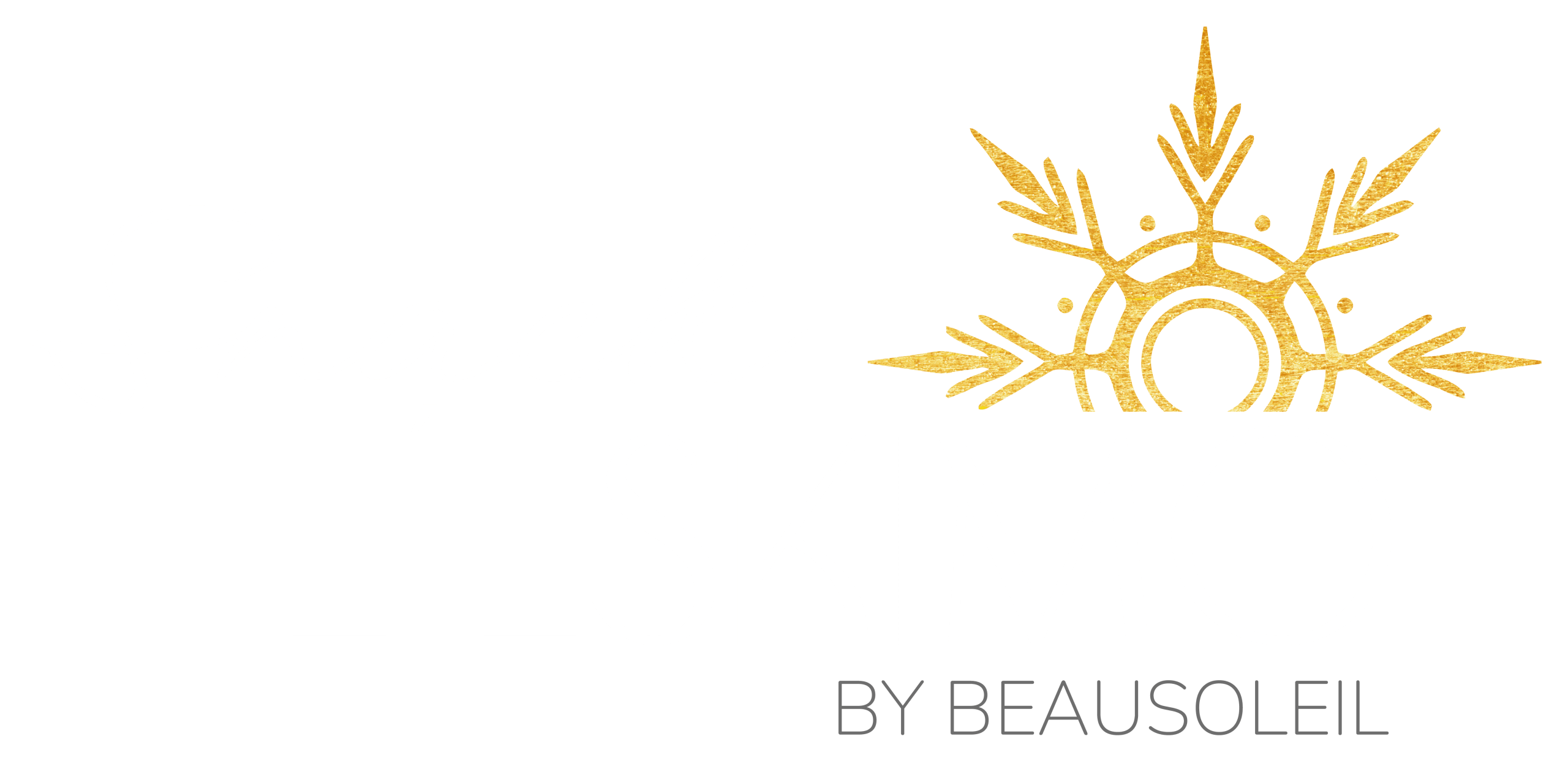 LOGO SANS FOND SNACK